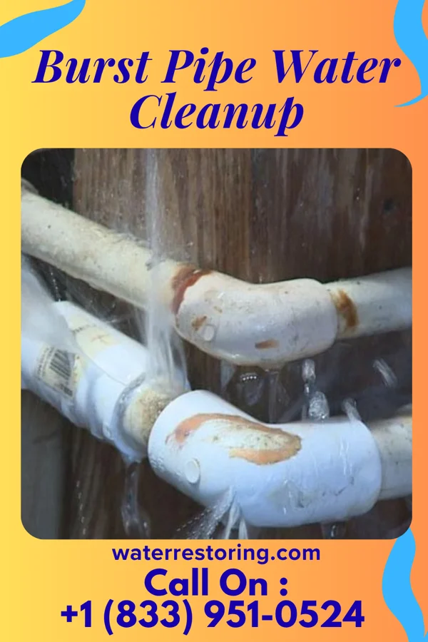 Burst Pipe Water Cleanup in Queens Gate, PA