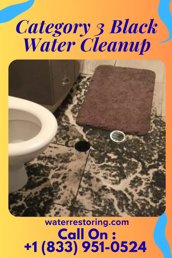Category 3 Black Water Cleanup in Queens Gate, PA