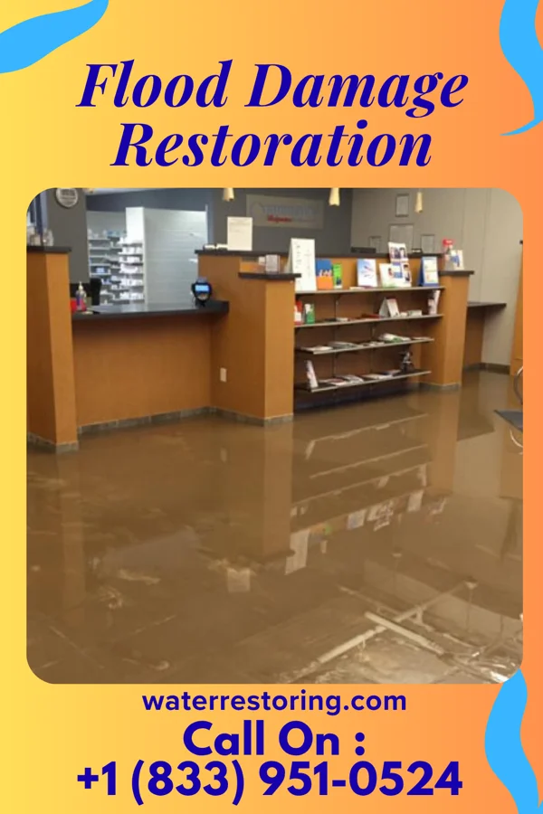 Flood Damage Restoration in Queens Gate, PA
