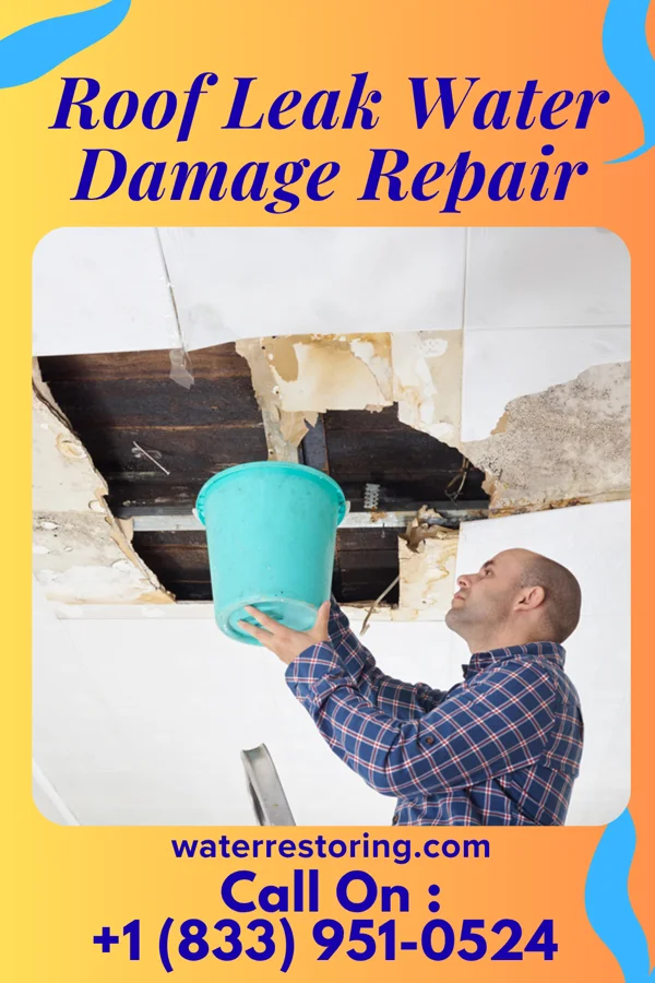 Roof Leak Water Damage Repair in Queens Gate, PA