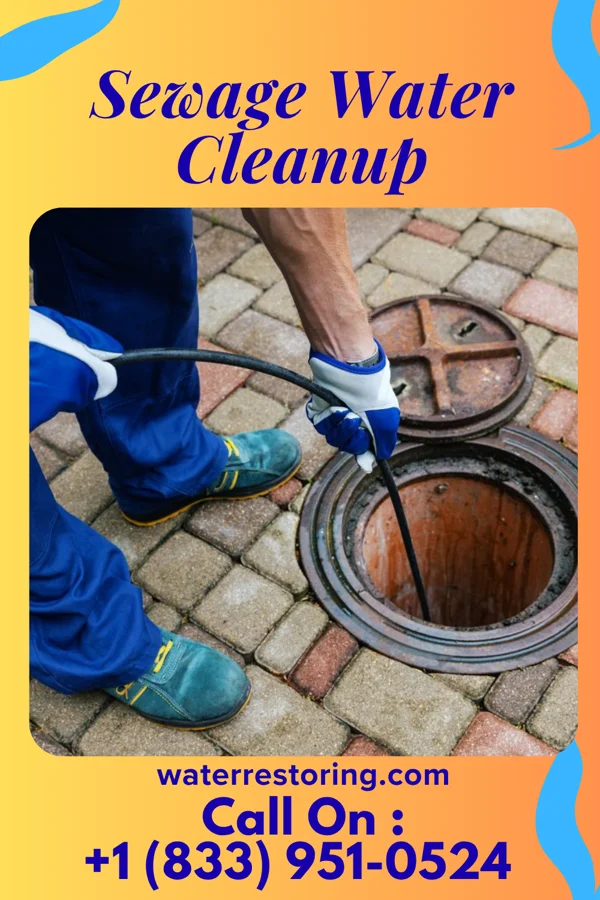 Sewage Water Cleanup in Queens Gate, PA