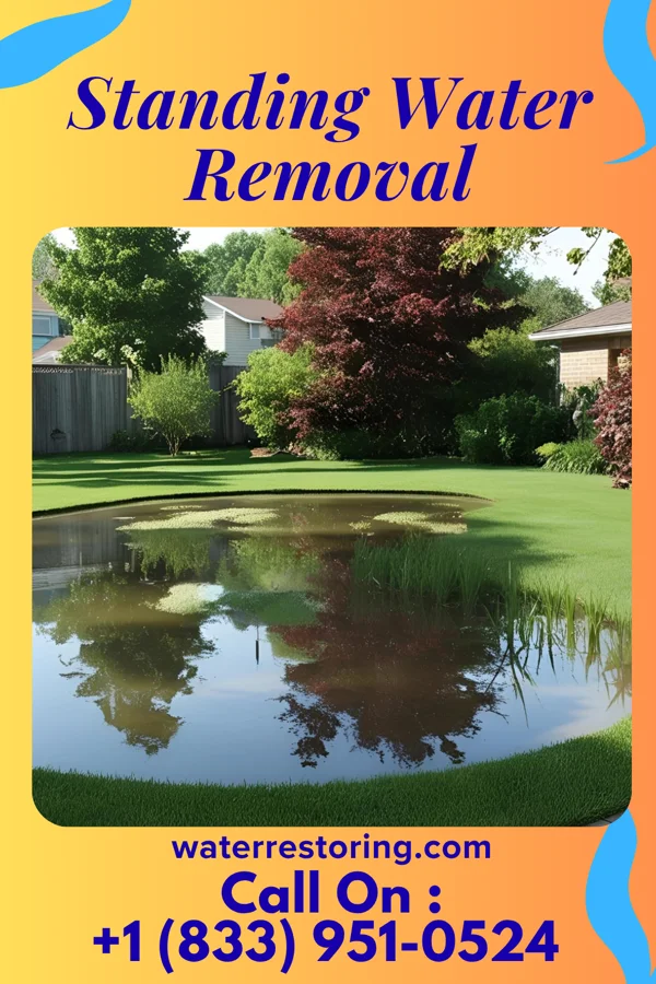 Standing Water Removal in Queens Gate, PA